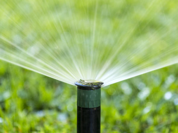 Irrigazione travaso e manutenzion