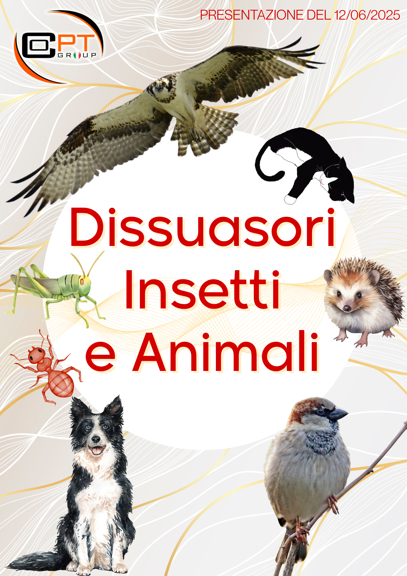 blog_small_img1