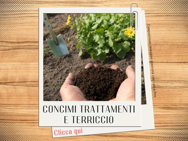 Concimi trattamenti e terriccio