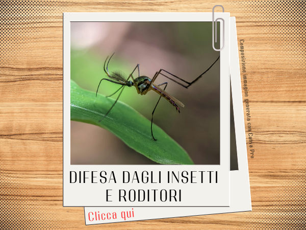 Difesa dagli insetti e roditori