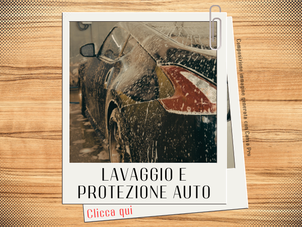 Lavaggio e protezione dell'auto