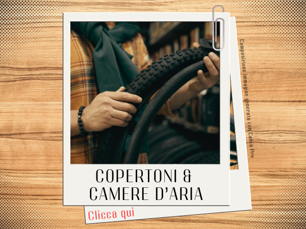 Copertoni e camere aria