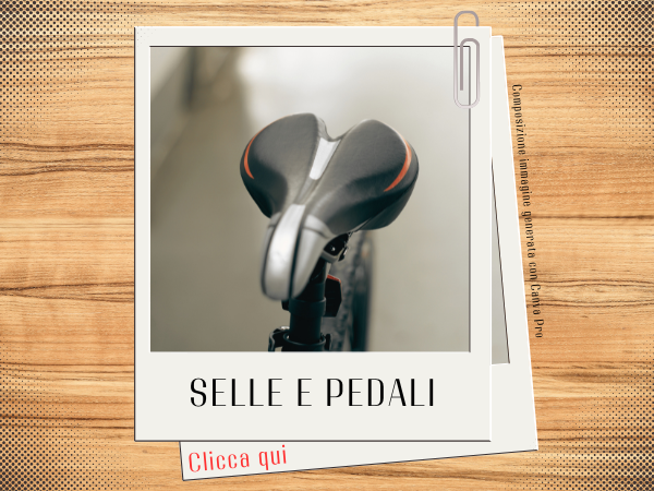 Selle e pedali