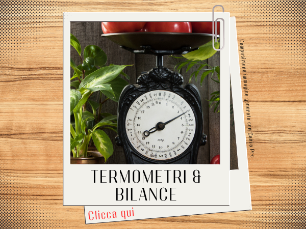 Termometri e bilance