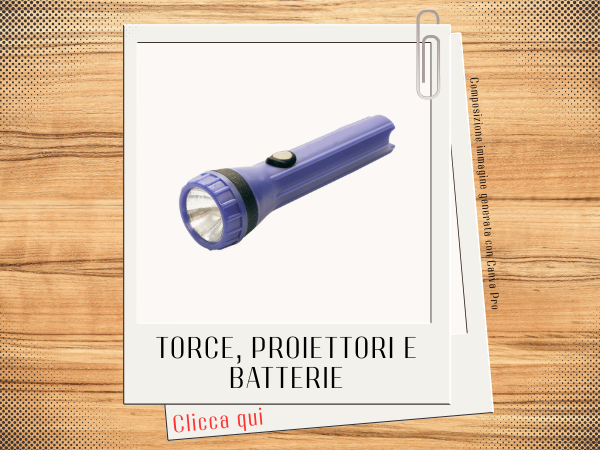 Torce proiettori e batterie